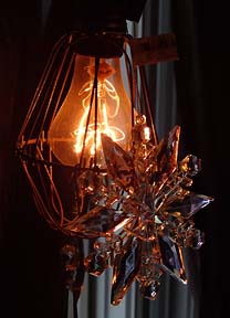 Shelby Bulb in Drop Light